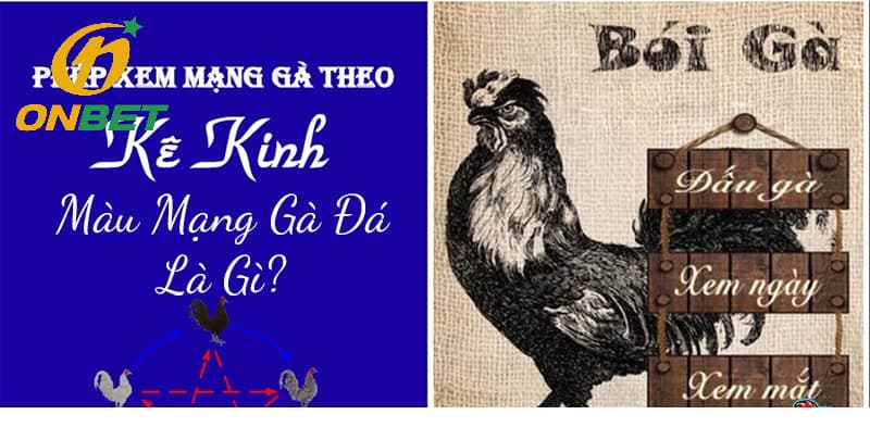 Sách xem ngày đá gà chuẩn